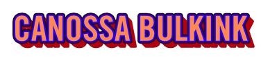 canossa informatica